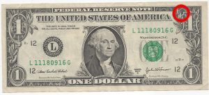 little_owl-300x137 Nota de um dólar